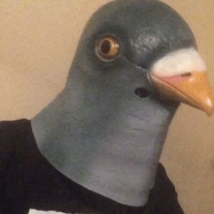 Meet your Posher, Rashid